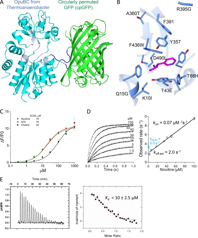 Figure 2.