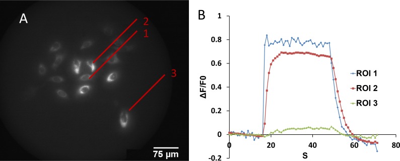 Figure 7.