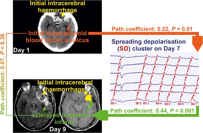 Graphical Abstract