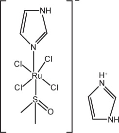 graphic file with name ijn-12-2749Fig2.jpg