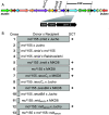 FIG 6