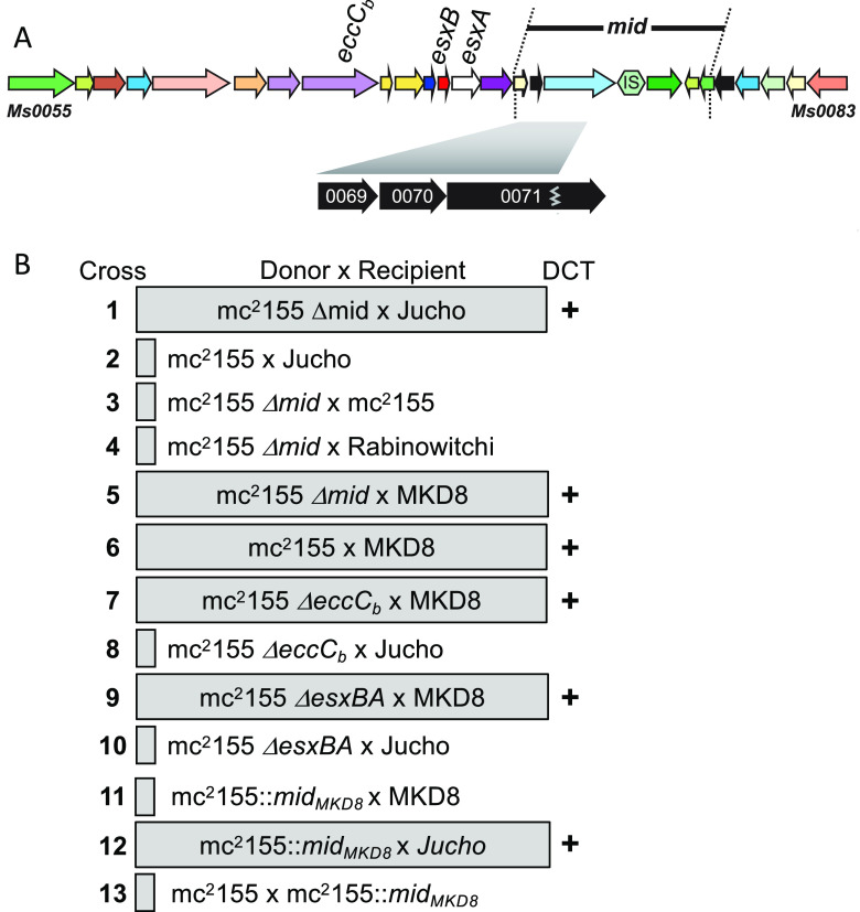 FIG 6