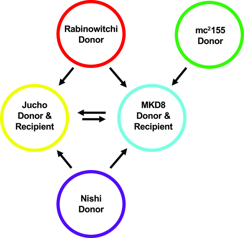 FIG 2