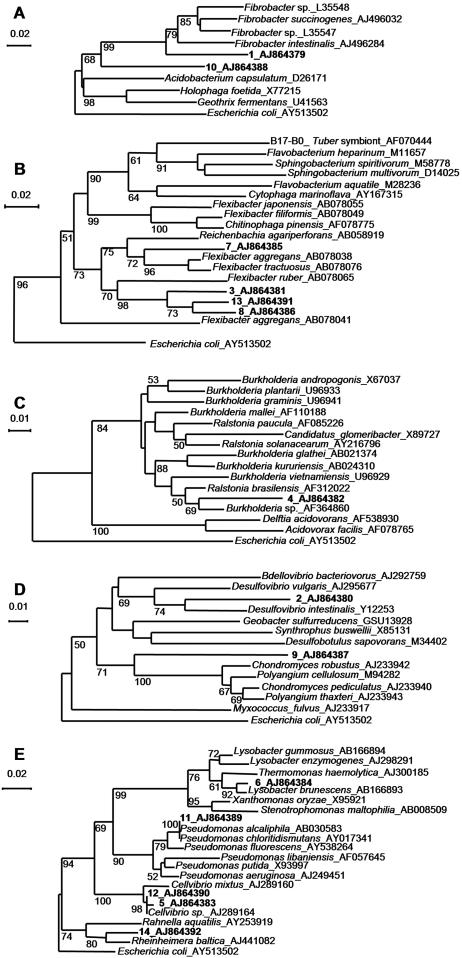 FIG. 4.