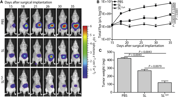 Figure 4