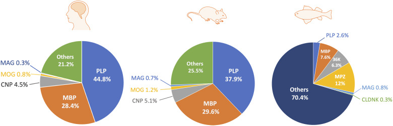 Figure 3.