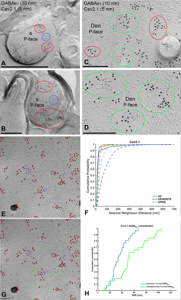 Fig. 7