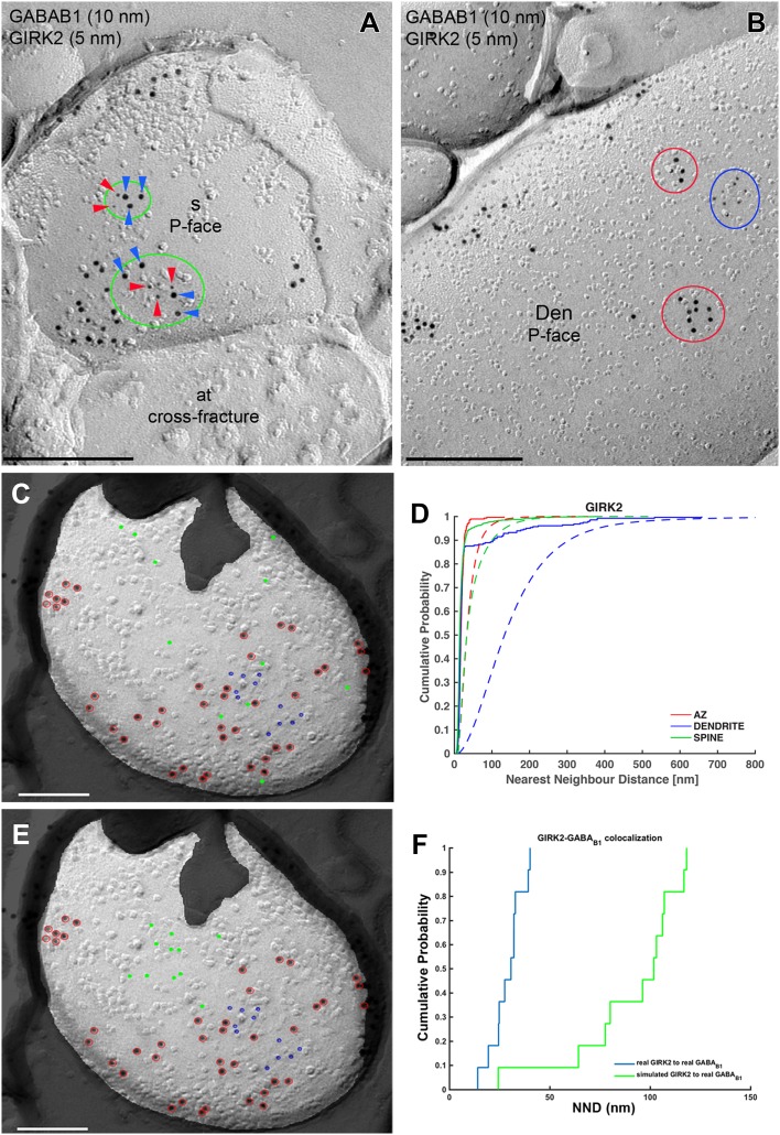 Fig. 6