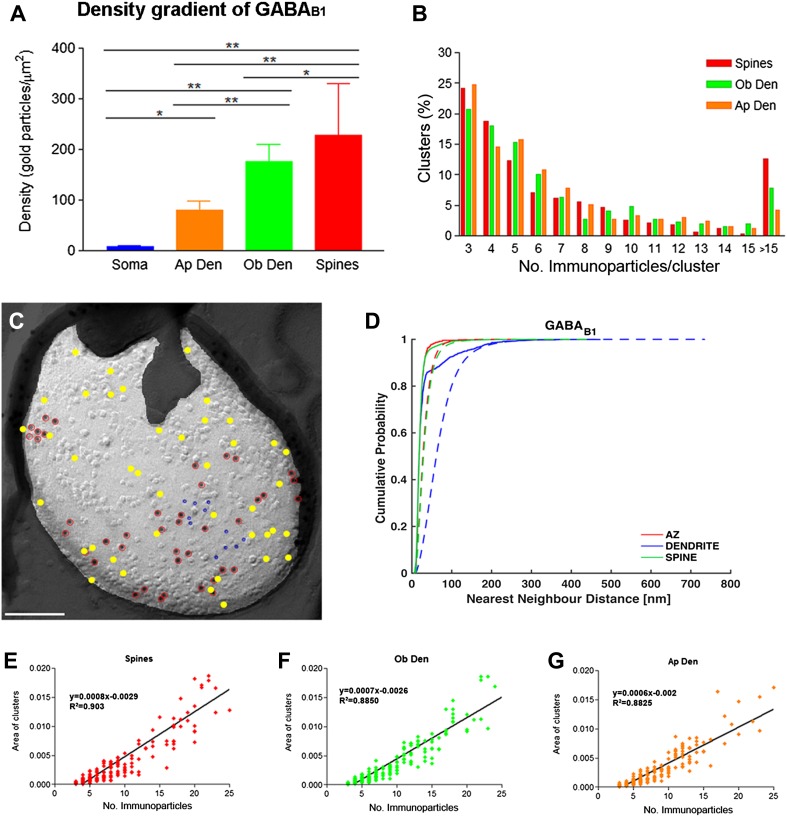 Fig. 3