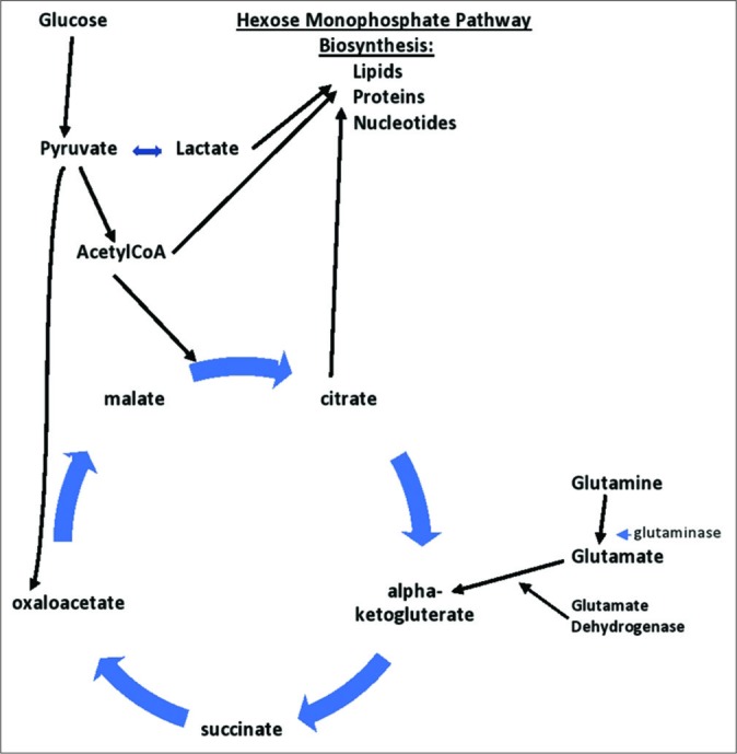 Figure 6: