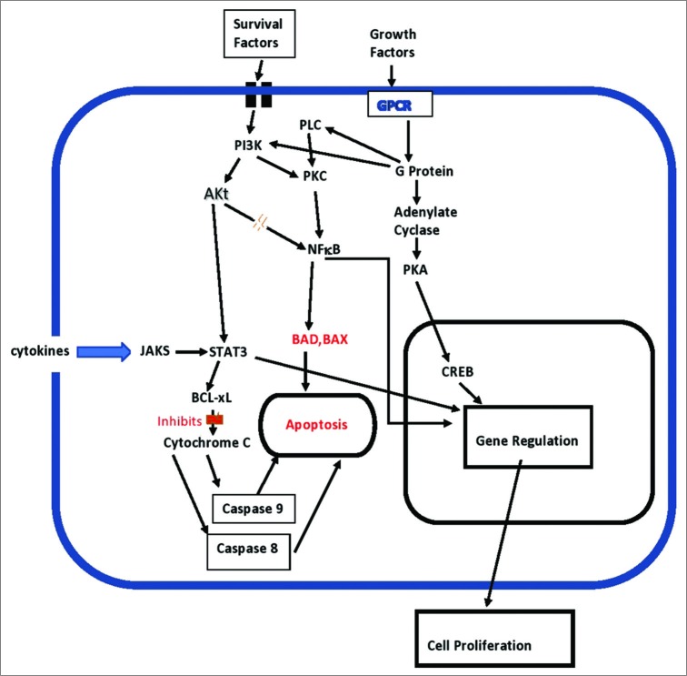 Figure 4: