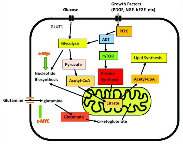 Figure 5: