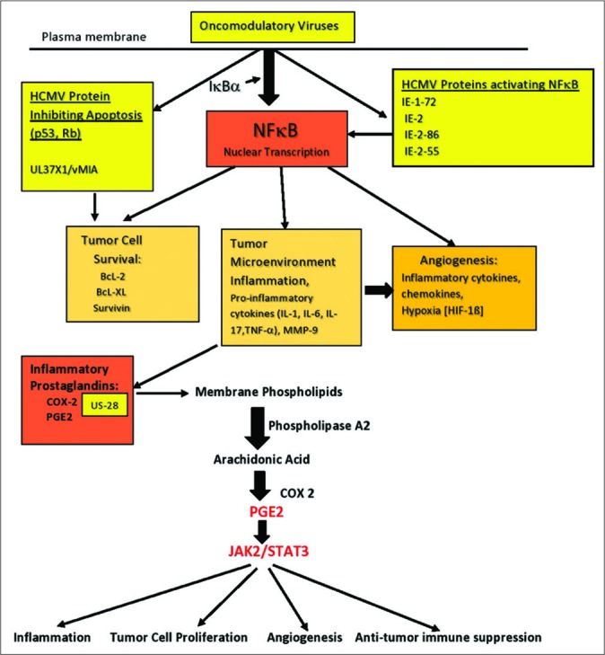 Figure 2: