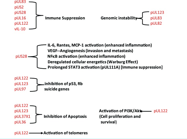 graphic file with name SNI-10-160-t001.jpg