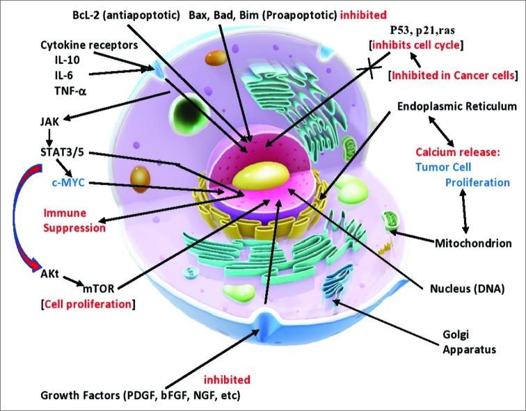 Figure 1: