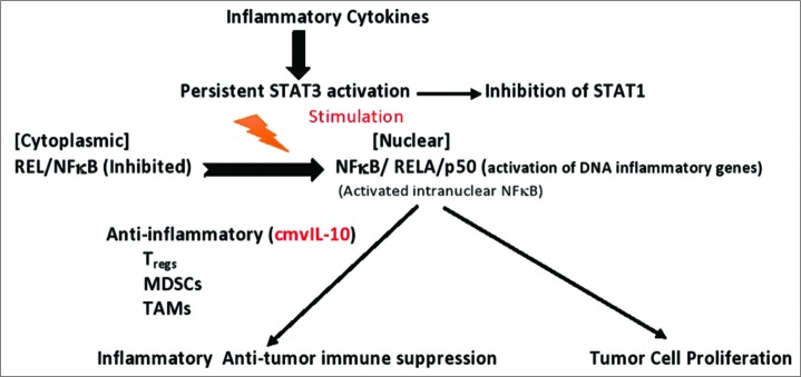 Figure 3: