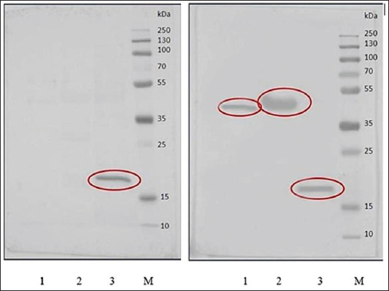 Figure-2