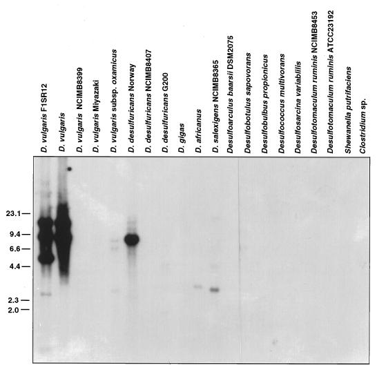 FIG. 6