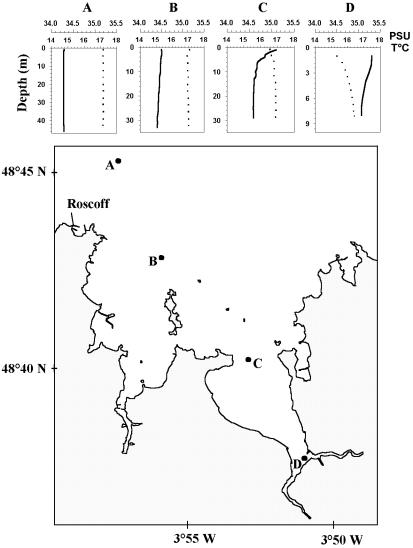 FIG. 1.