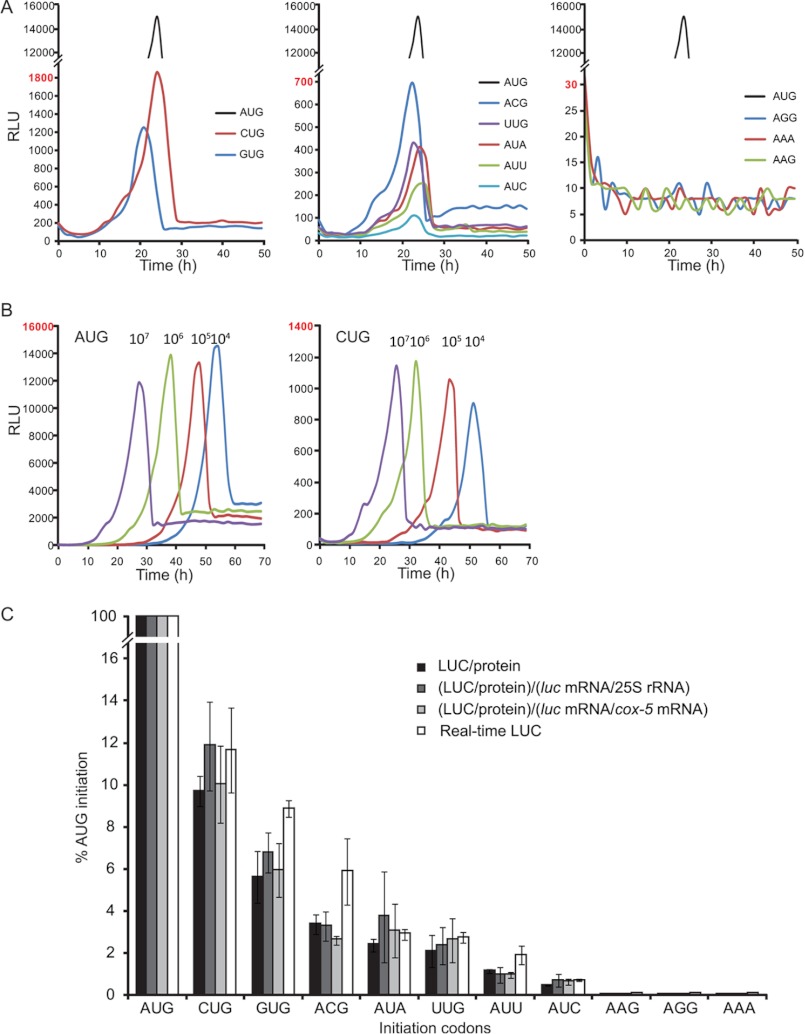 FIGURE 2.