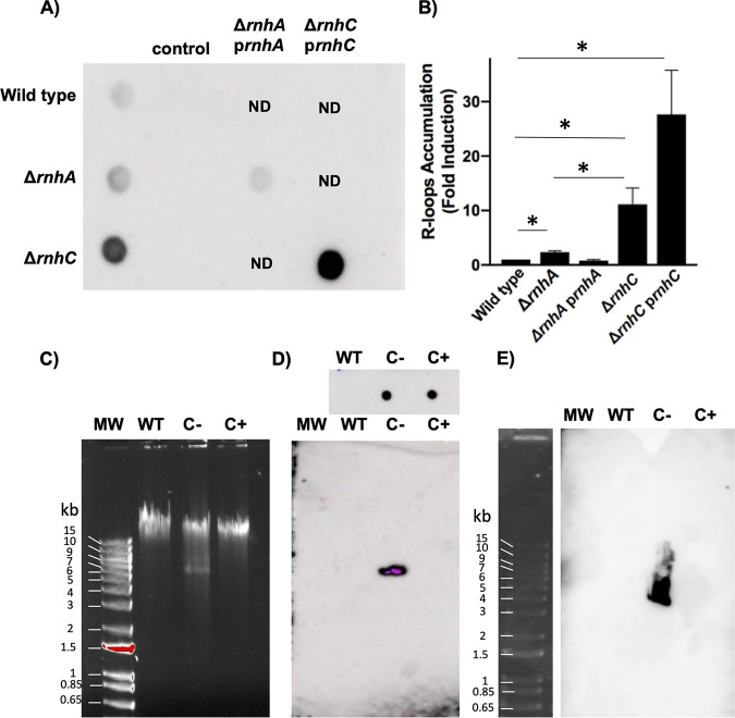 FIG 2