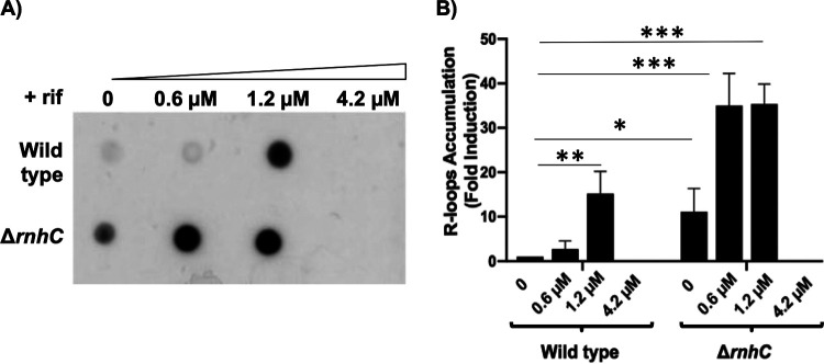 FIG 4