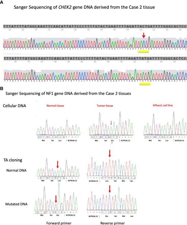 Figure 3