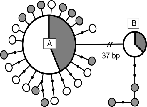 FIG. 1.