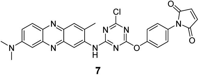 Fig. 7