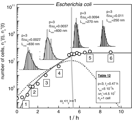 Fig. 12