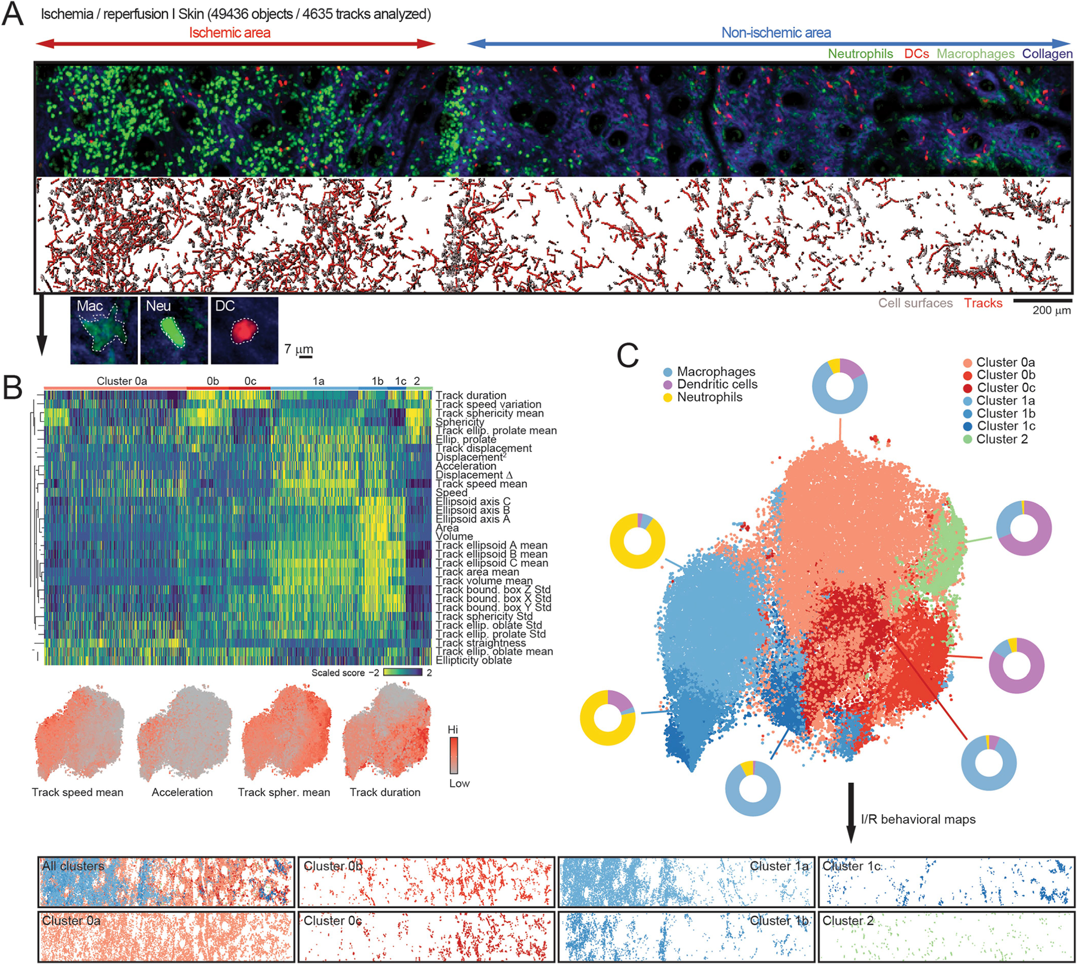 Extended Data Fig. 3 |