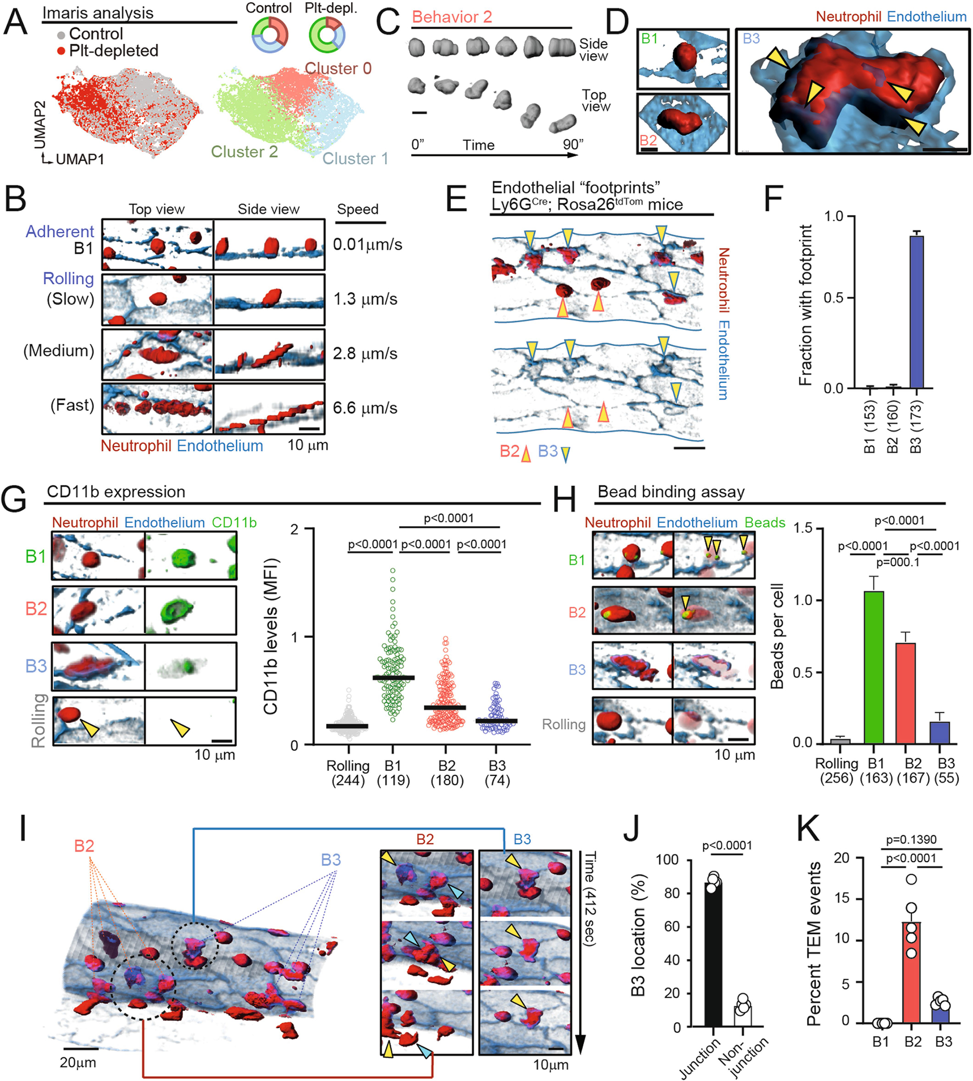 Extended Data Fig. 5 |