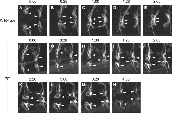 FIG. 4.