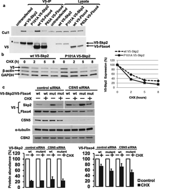 FIGURE 1: