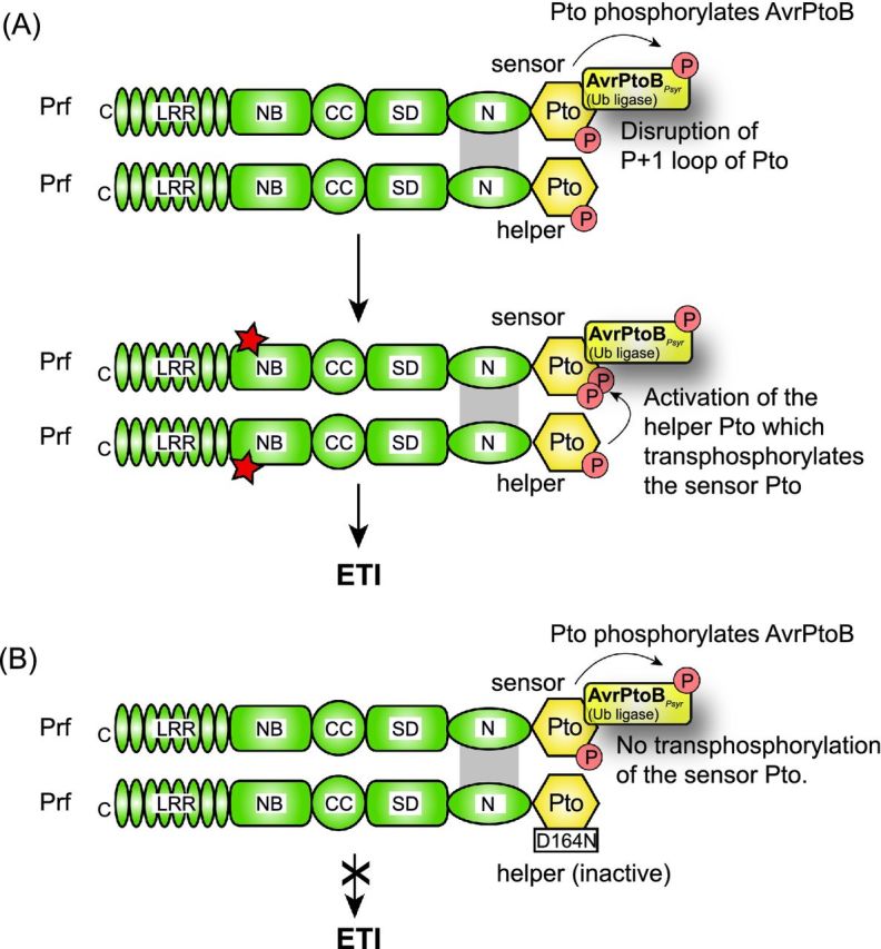 Figure 10.