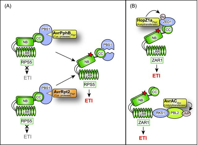 Figure 12.