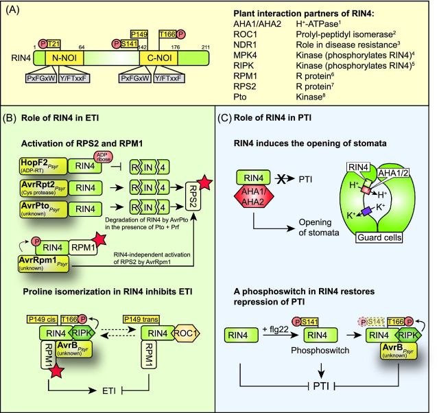 Figure 11.