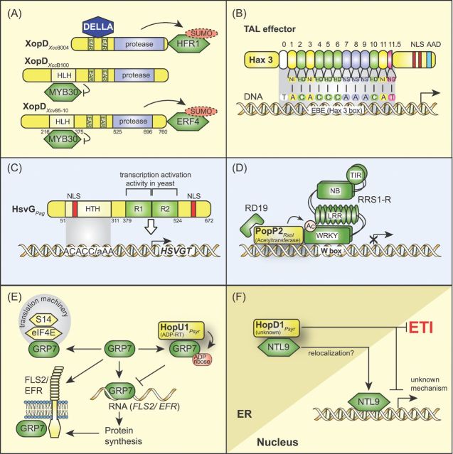 Figure 7.