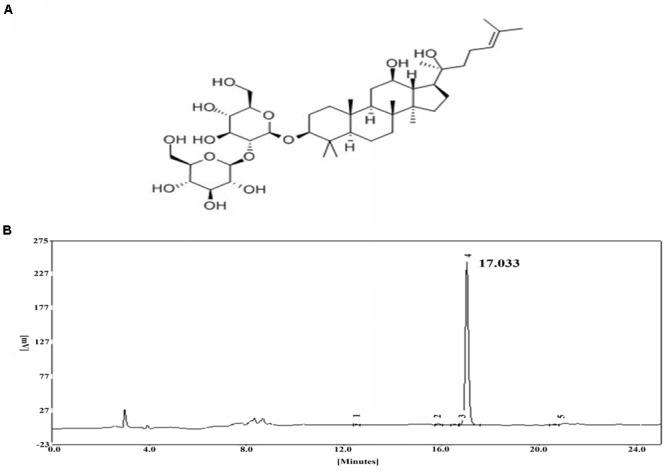 FIGURE 1