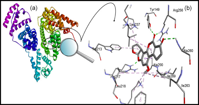 Figure 10