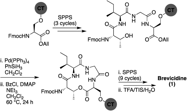 Scheme 1