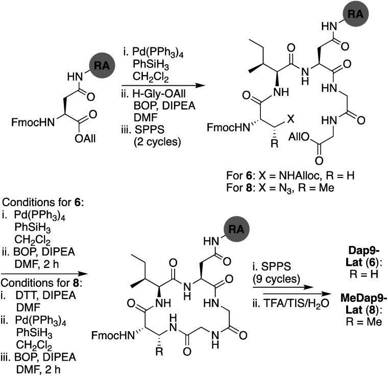 Scheme 4