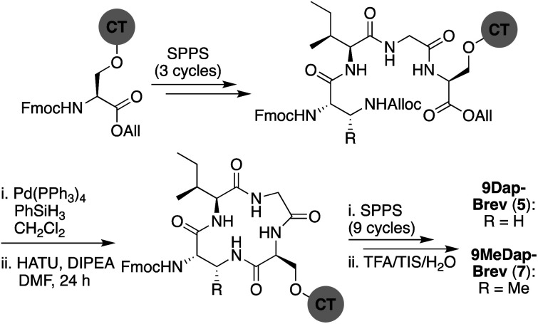 Scheme 3