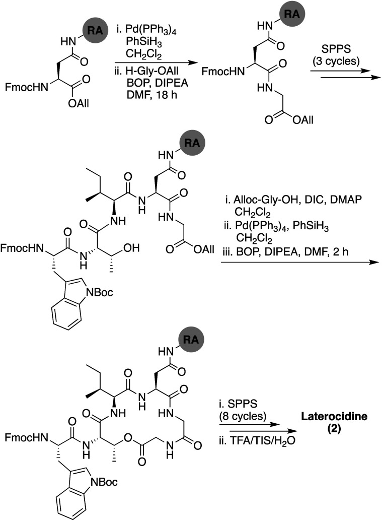 Scheme 2