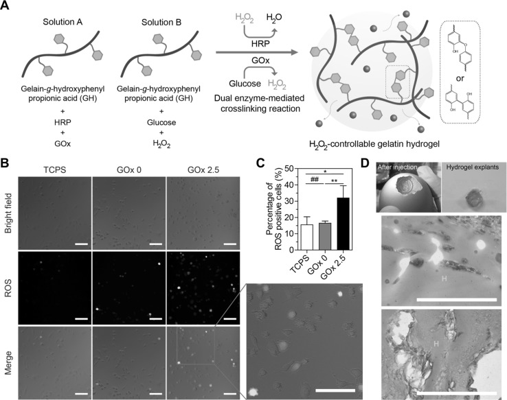 Fig. 4