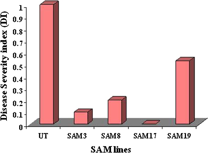 Fig. 4