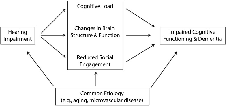 FIGURE 1—