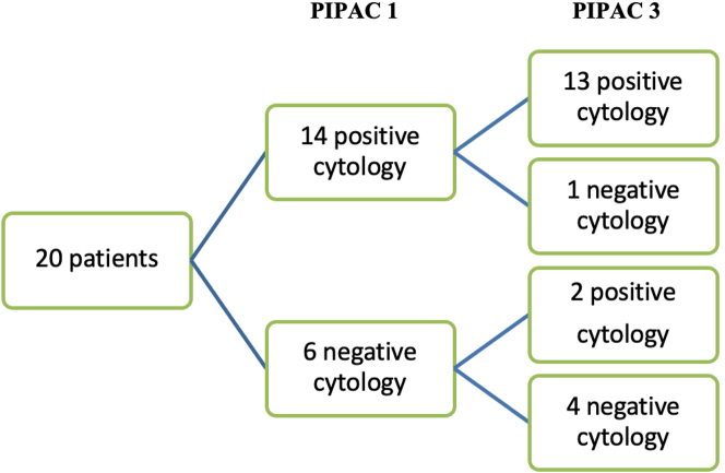 Figure 1: