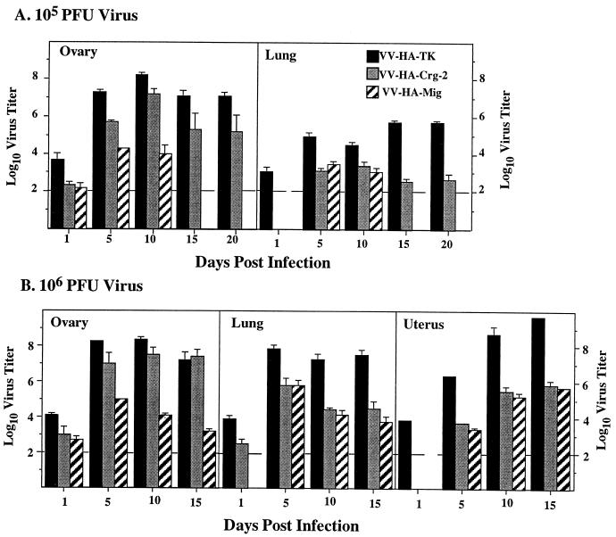 FIG. 3