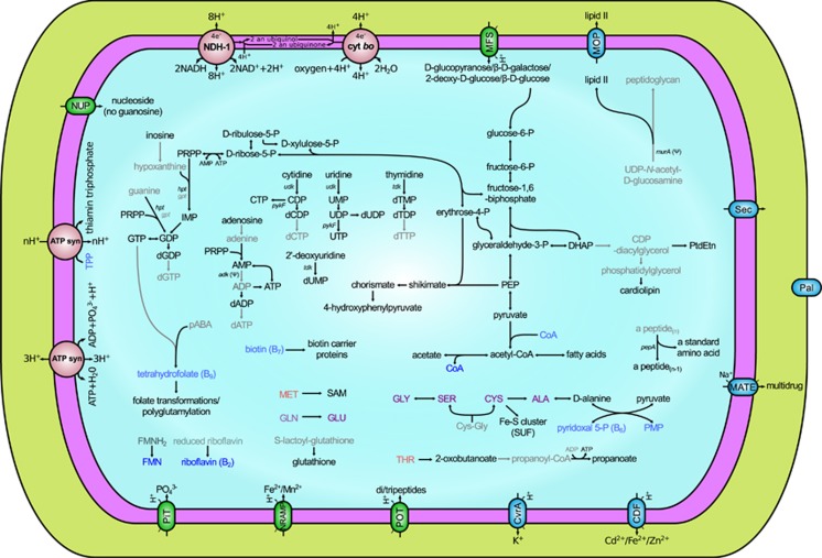 Figure 2